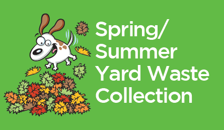 Cartoon dogs jumps into pile of leaves with the words Spring/Summer Yard Waste Collection